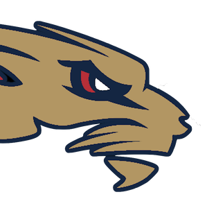 Team Page: Coral Springs Jr Cats